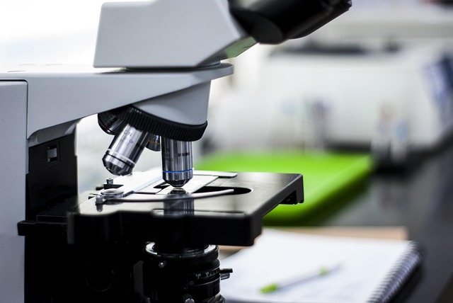 環氧樹脂固化促進劑：四甲基胍可顯著降低胺類/酸酐固化劑的活化溫度，加速固化進程