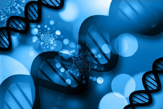 聚氨酯表面活性劑在聚氨酯泡沫發泡均勻性和閉孔率控制中的關鍵作用